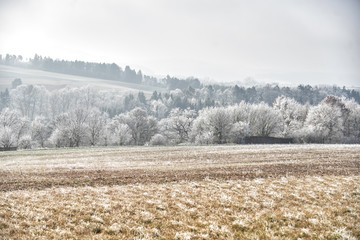Winterliche Landschaft Waldrand und Feld