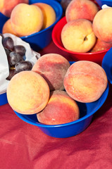 top view, close distance of a blue, plastic bowl of freshly picked, ripe local peaches