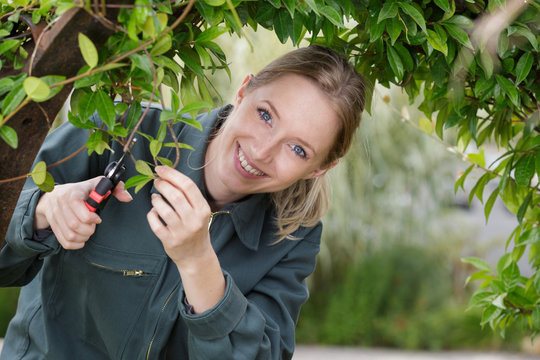 portrait of female gardener trimming arched bush