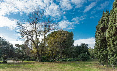 Fototapeta na wymiar Paisaje con árboles en jardín urbano de viveros, Valencia