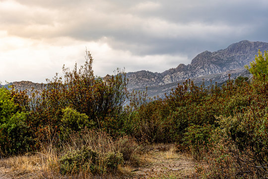 Typical landscape in the Sierra de Guadarrama on a cloudy day. Europe Spain Madrid