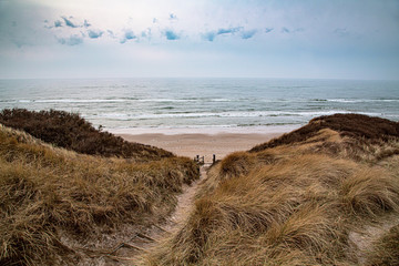 North Sea Beach, Jutland Coast in Denmark