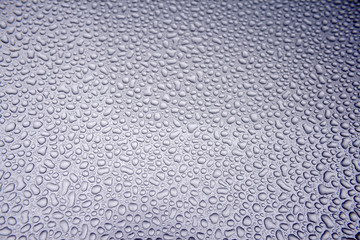 Gotas IMG_0351