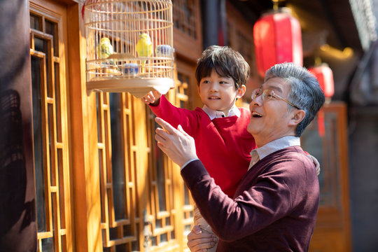 Happy grandfather and grandson with pet birds in cage