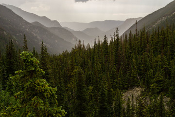 mountains and pine trees