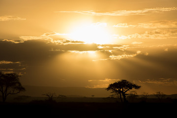 Fototapeta na wymiar tramonto in africa