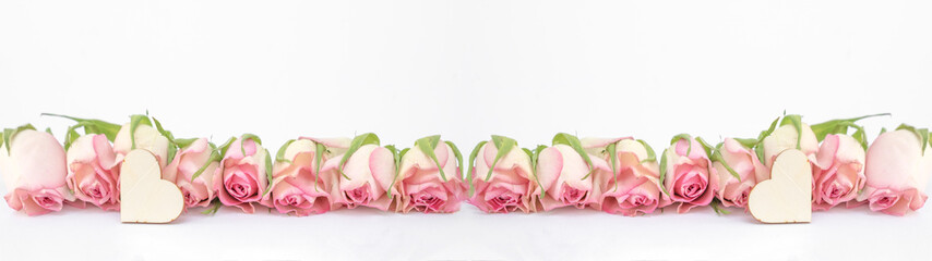 Pink roses and wooden heart isolated on white background banner panorama texture vintage