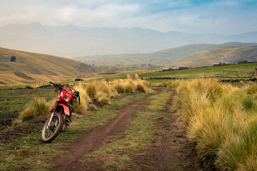 Obraz premium En el medio del campo
