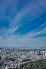 Naklejka premium 東京