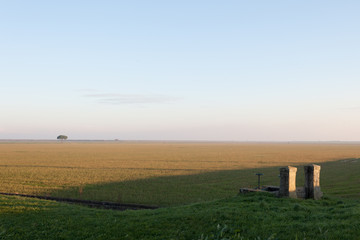 Fototapeta na wymiar Delta del Po' countryside