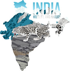 vector India map with snow leopard