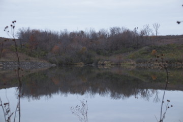 reflection of trees in water