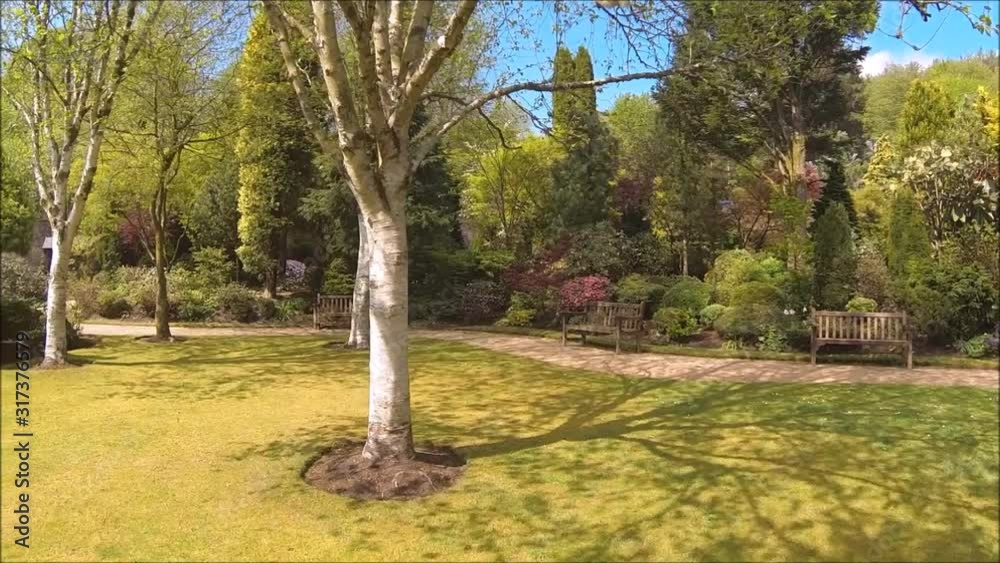 Poster Beautiful conifer garden in Spring, HD video 