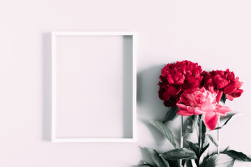 Beautiful flowers composition. Blank frame for text, pink and white peonies flowers on white...