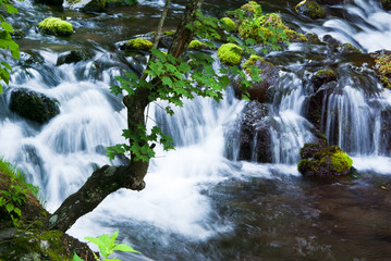 北海道京極町ふきだし湧水公園