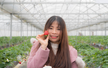 いちご狩りをしている若い女性