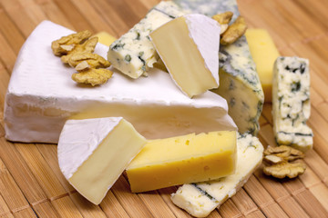 Many different varieties of cheese: blue, brie, camembert and other with walnuts on wooden board background.