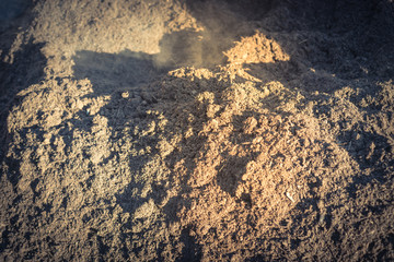 Organic compost and topsoil close-up full frame garden background