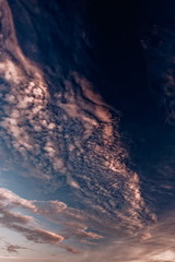 Naklejka na ściany i meble Magnificent altostratus and altocumulus cloud at sunset.