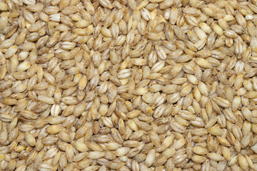 Pearl barley close up food background. Full frame