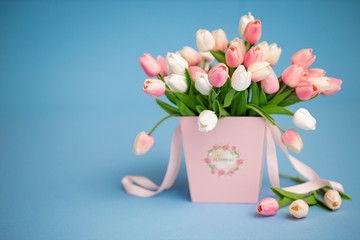 Pink and white tulips on a blue background. Easter and spring card.