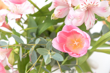 Fototapeta premium ピンクの花 アップ クローズアップ ピンク系の花とグリーン 素材 室内 屋内 自然光 ホワイトスペース コピースペース 文字スペース 横 背景素材 背景 グラフィック素材 白 緑 ピンク 春 季節 スイートピー