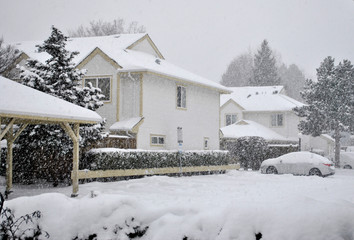 Houses in the Snow