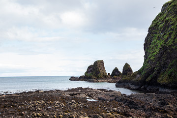 cliffs and rocky coast of Scotland