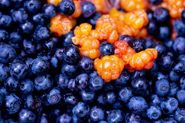 Berries of ripe, juicy blueberries Vaccinium myrtillus and cloudberries Rubus chamaemorus. Macro....