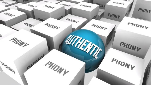  Authentic or Phony Original Real Sincerity Unique Different 3d Animation