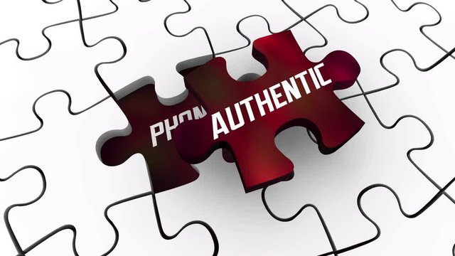  Authentic Vs Phony Real Sincere Vs Fake Puzzle Pieces 3d Animation