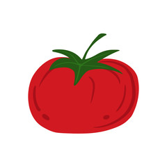 Tomato in doodle style isolated on white background. Hand drawn cherry tomatoes vegetable.