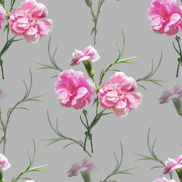 Carnation flower seamless pattern vector illustration