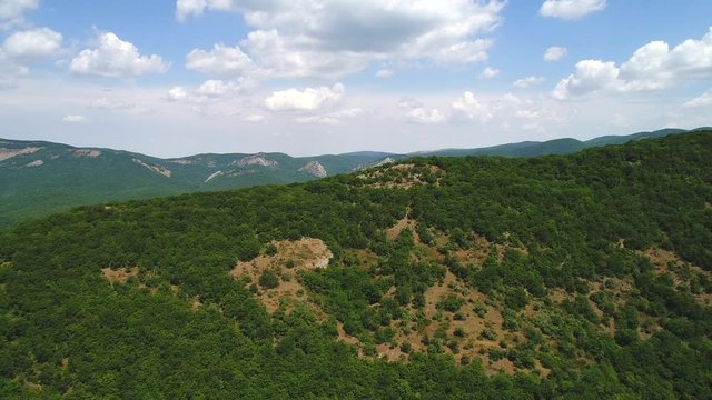 Close-up view of the picturesque green slopes covered with small trees and shrubs against the blue cloudy sky in summer day. Shot. Beautiful mountain scenery