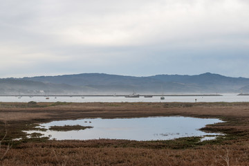 USA, California, San Mateo County, Half Moon Bay. Fog fills the harbor and obscures the shoreline