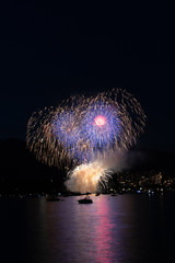 fireworks in the sky