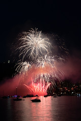 fireworks in the sky