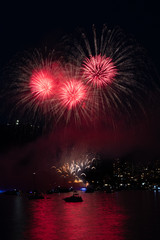 fireworks in the sky