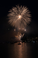 fireworks in the sky