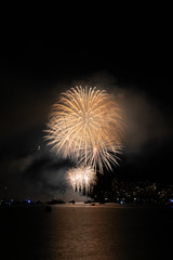 fireworks in the night sky