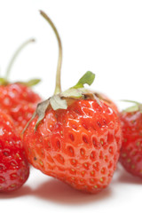 freshly picked strawberries