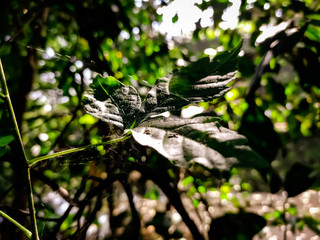 Light and Shadows perfect combination.