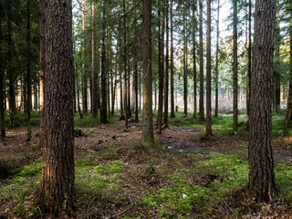 Obraz premium A large amount of water melted after winter.