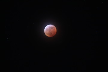blood moon 