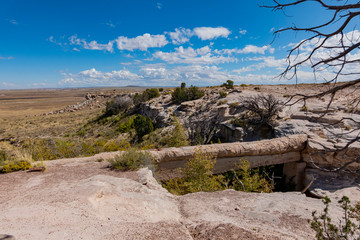 Fototapeta premium Beautiful landscape of Agate Bridge, Petrified Forest National Park