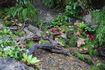 Thai Garden