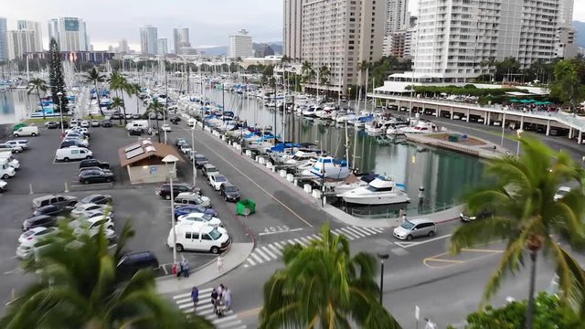 Aerial View of Kewalo Basin Harbor in Honolulu, Oahu, Hawaii