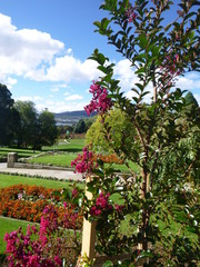 Fototapeta na wymiar Garden view