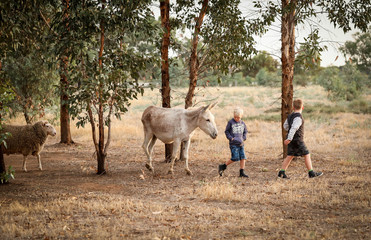 Two children walking through a field at sunset with a donkey and a sheep following behind