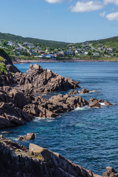 Maddox Cove Newfoundland